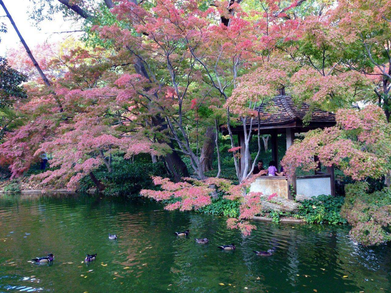 Japanese Gardens Japanese Garden