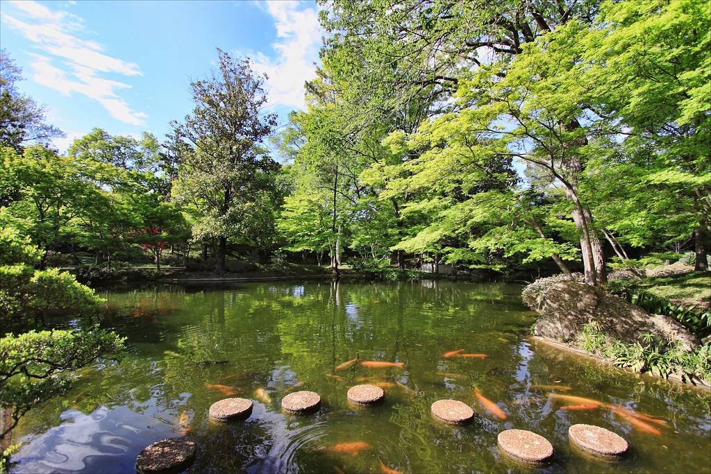 Japanese Gardens Fort Worth