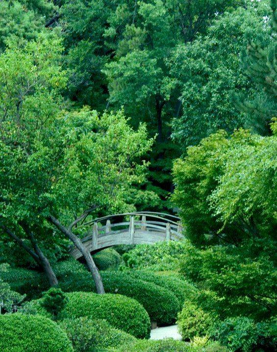 Japanese Gardens