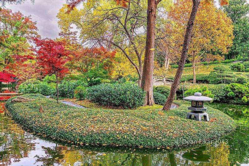 Japanese Water Gardens Fort Worth