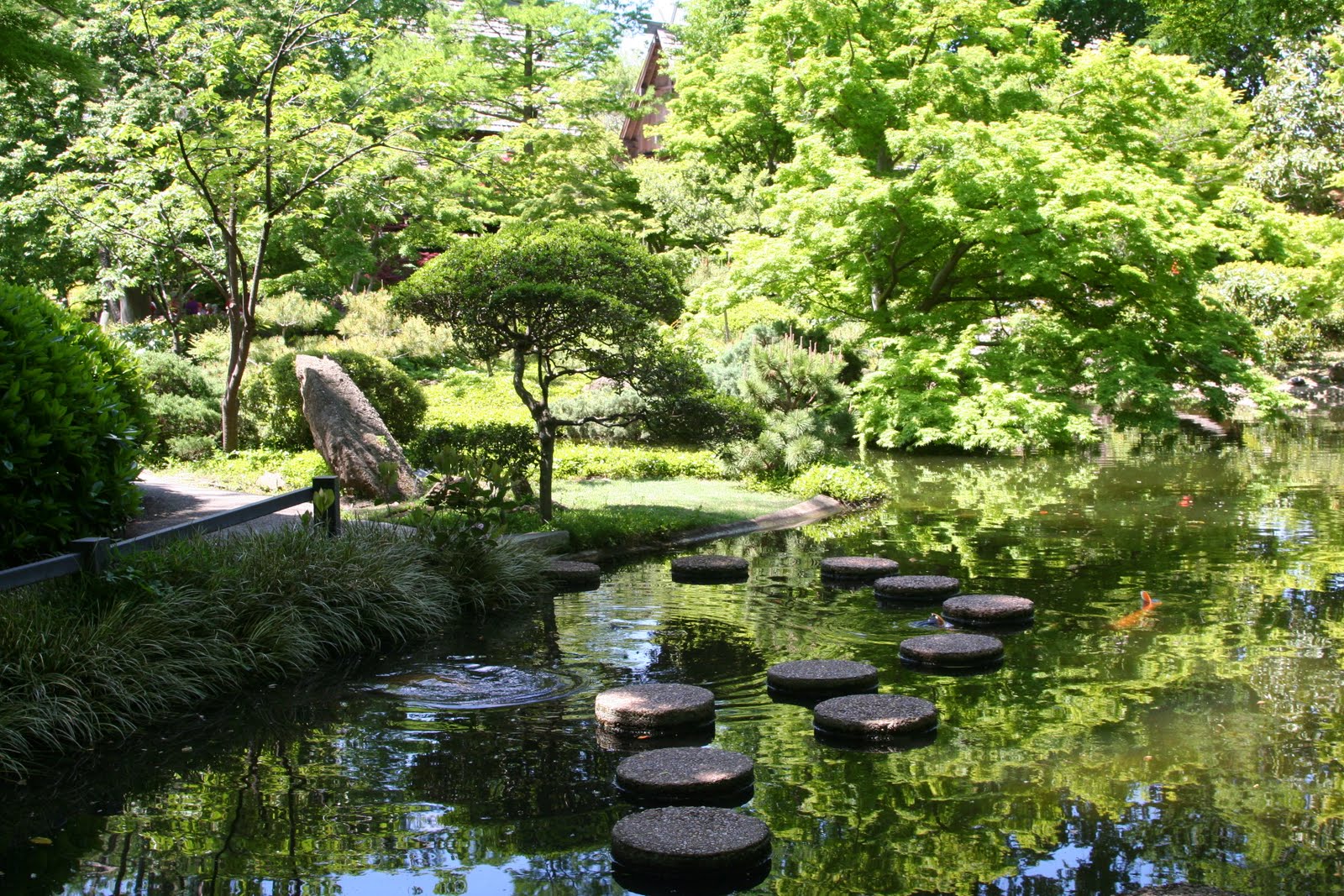 Japanese Water Gardens Fort Worth