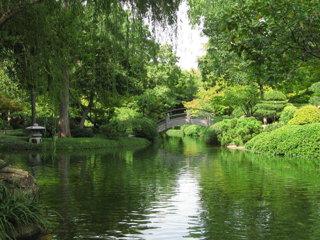 Japanese Water Gardens Fort Worth