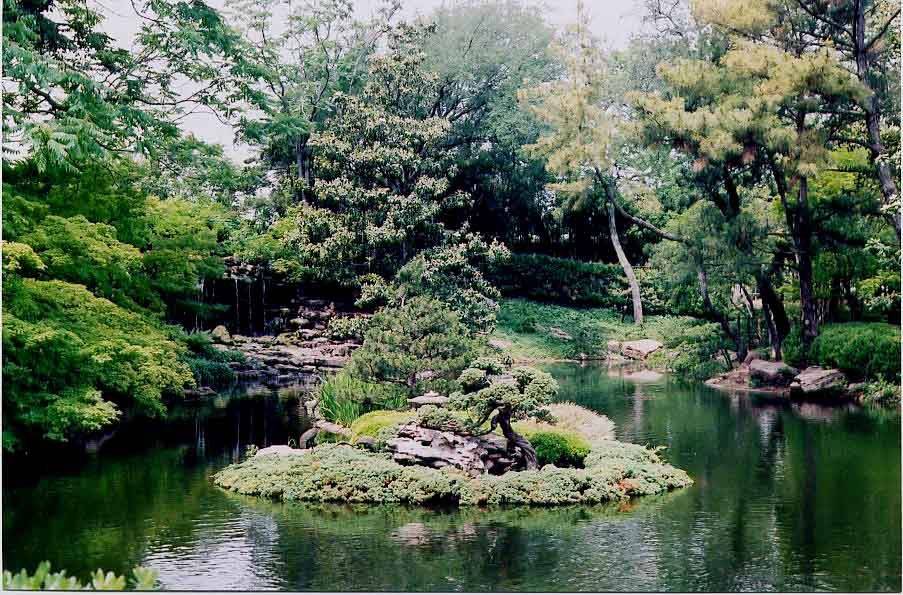Japanese Water Gardens Fort Worth
