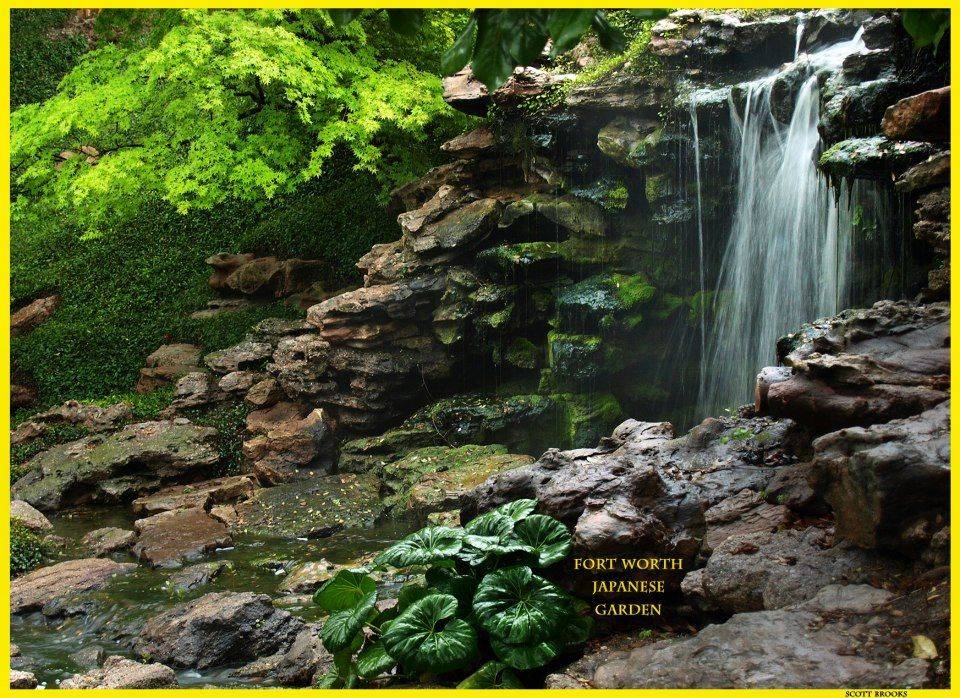 Peaceful Green Japanese Garden