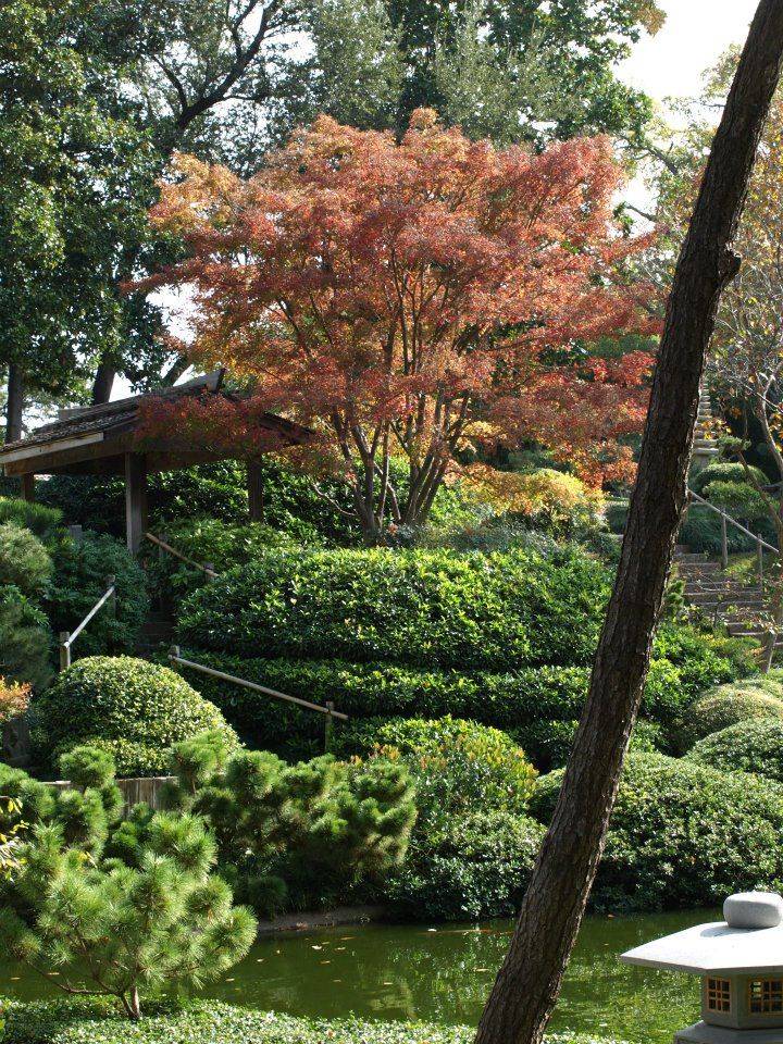 Peaceful Green Japanese Garden