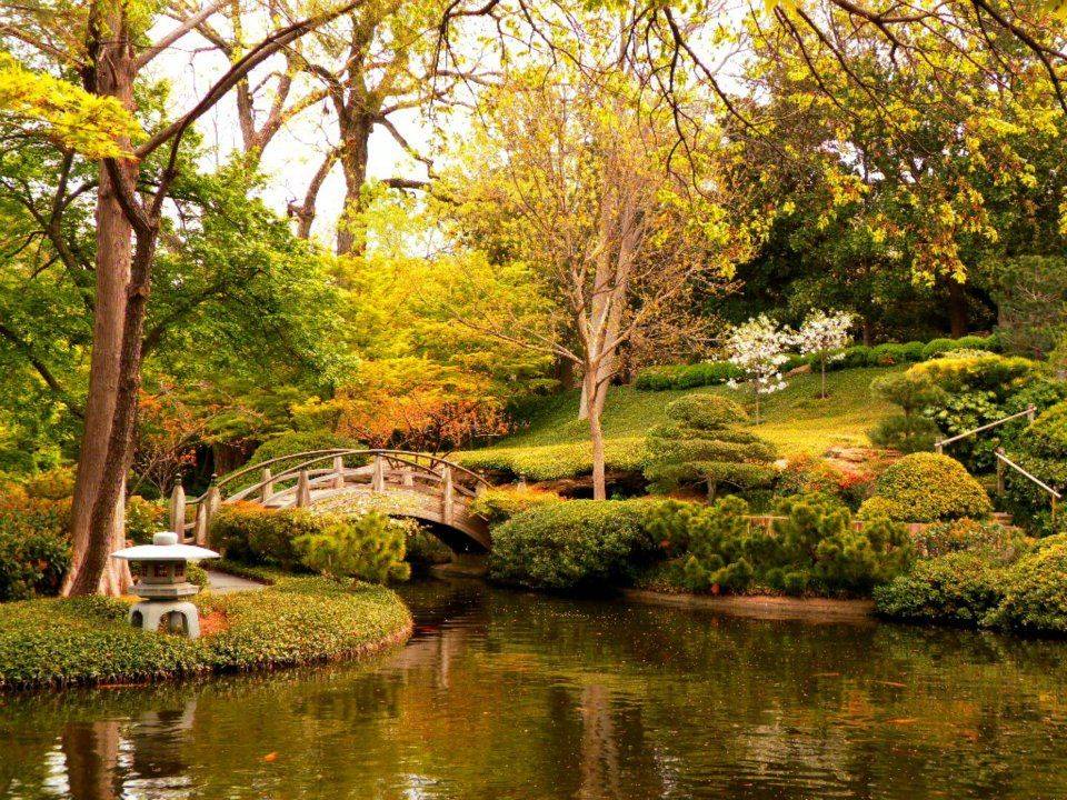 Japanese Garden Fort Worth Texas Lake Pond Tea House Ibis