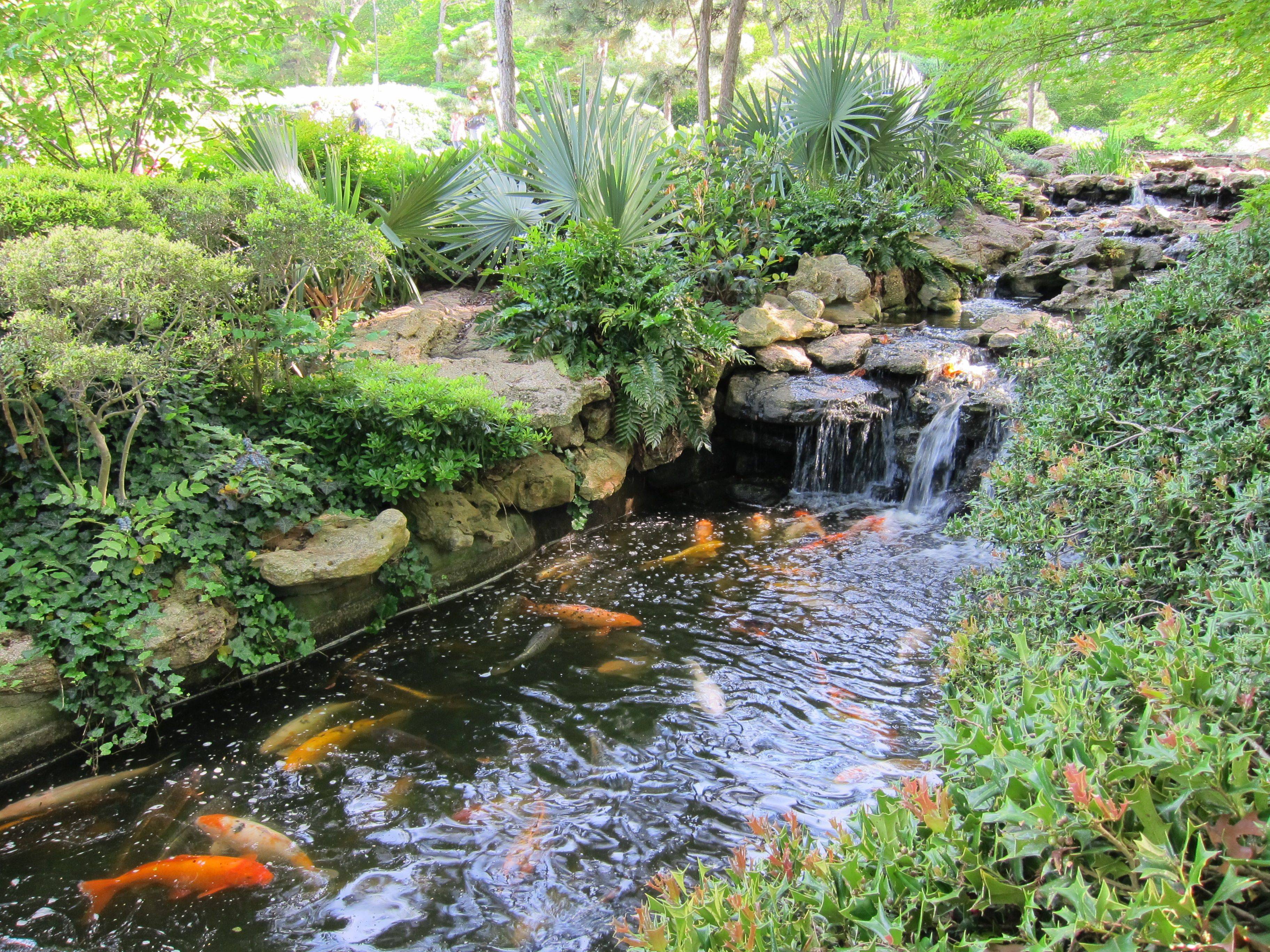 Japanese Gardens