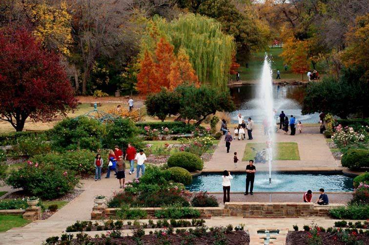 Japanese Water Gardens Fort Worth