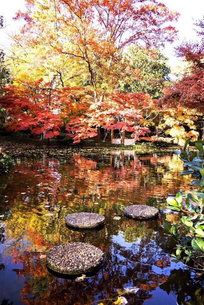 The Fort Worth Japanese Garden