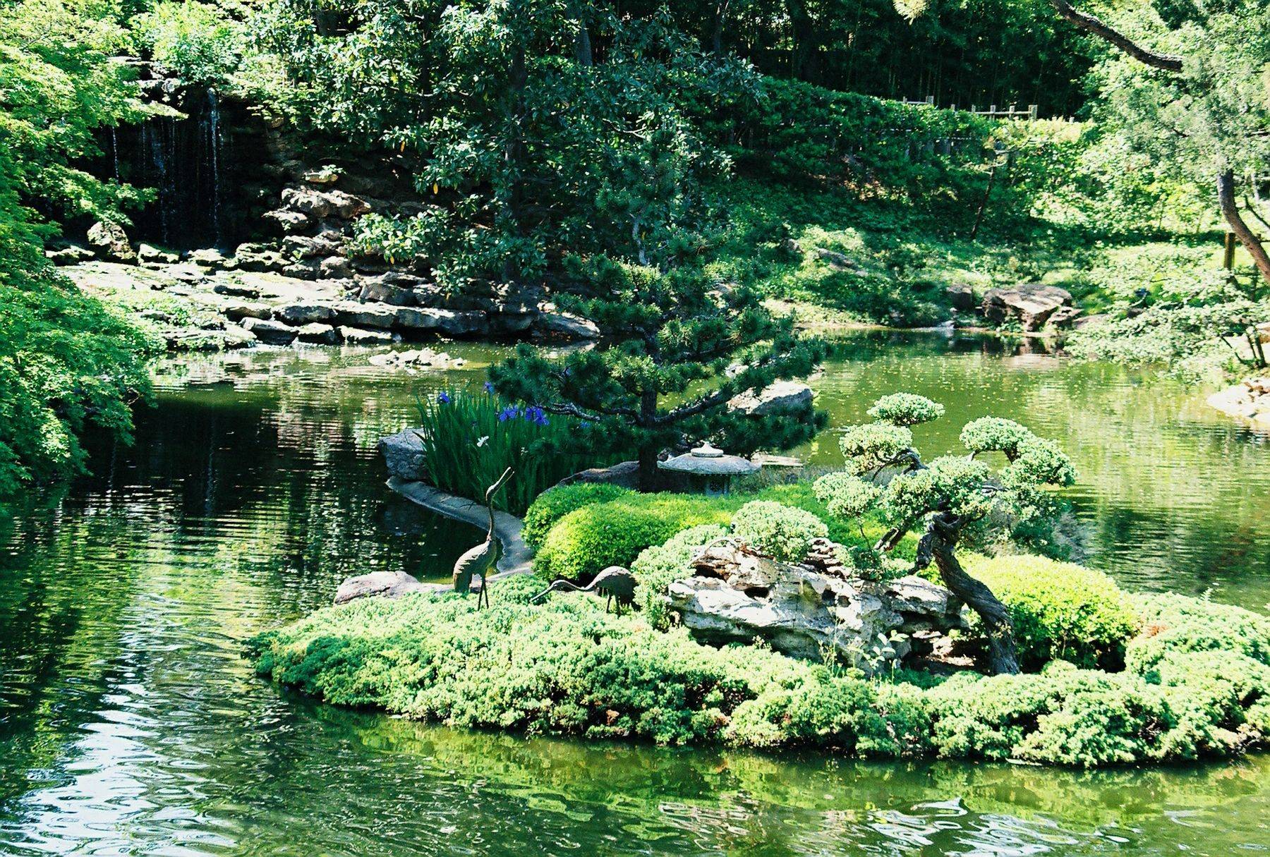 Japanese Garden