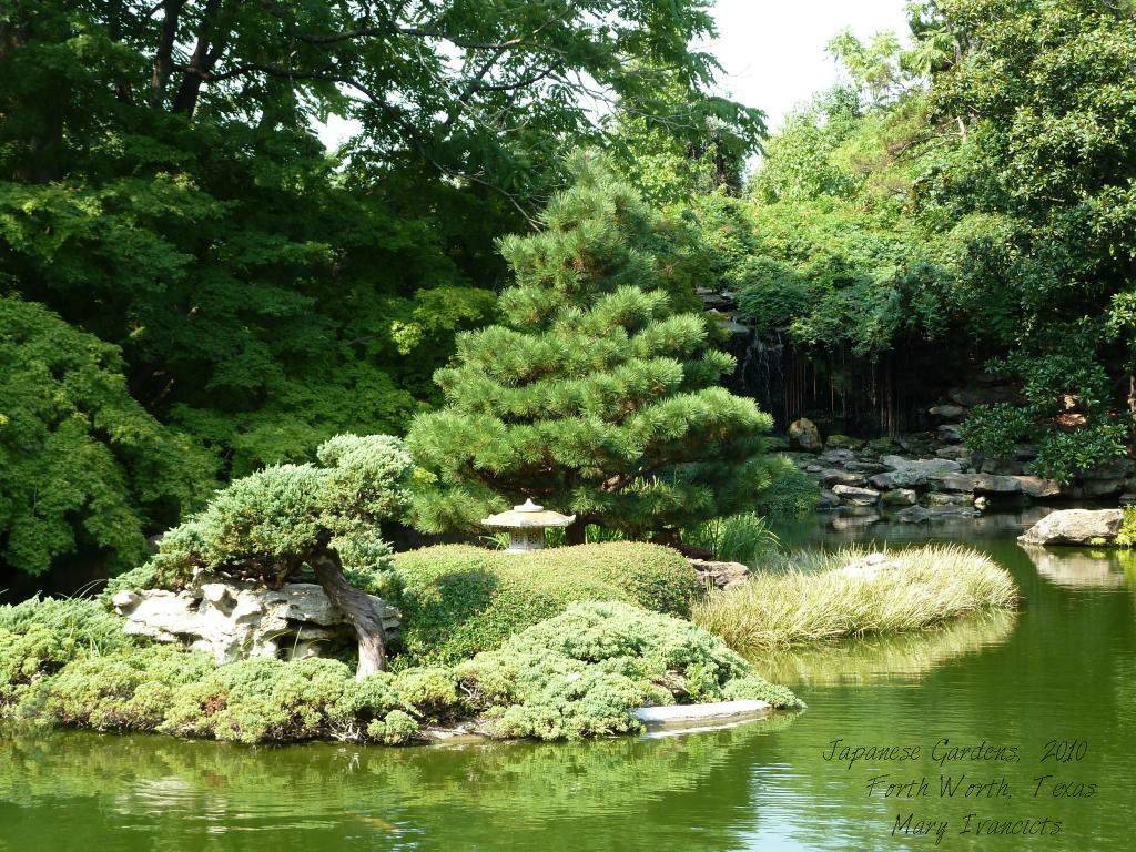 Japanese Gardens Fort Worth