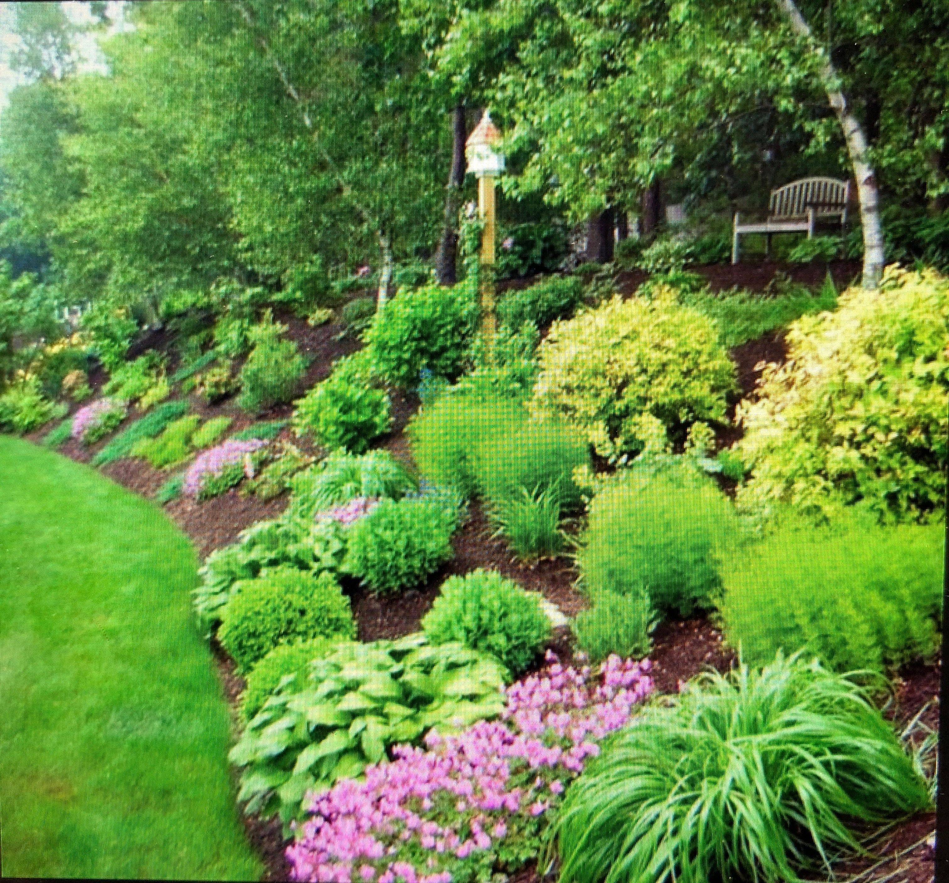 Most Amazing Side Yard Landscaping Ideas