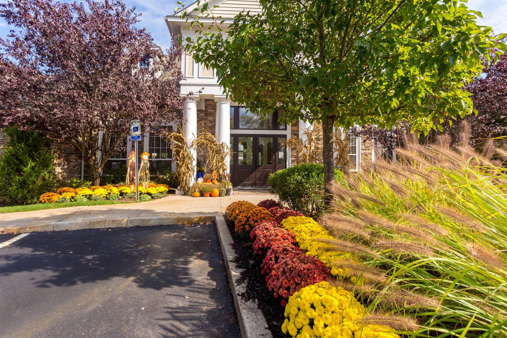 Livingthe American Porch Front Yard Landscaping