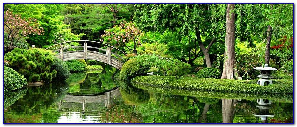 Lovely Botanical Garden Fort Worth