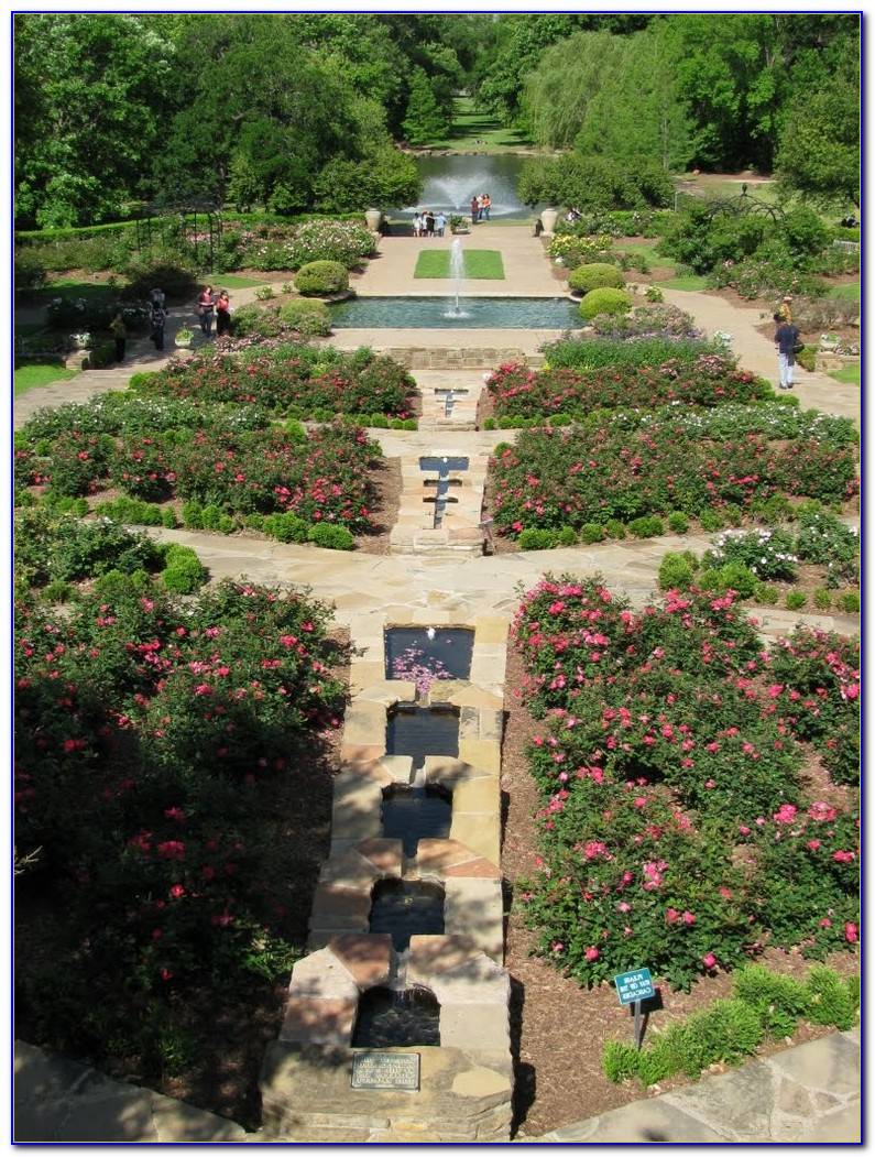 Fort Worth Botanic Garden Rose Garden Albany Kid Family Travel
