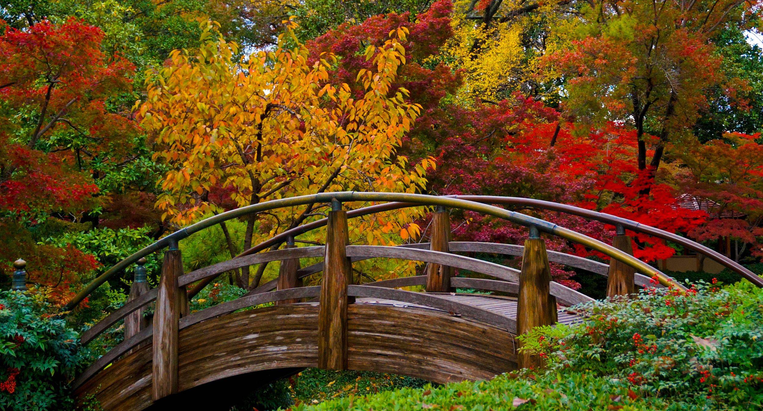 Fort Worth Japanese Garden Japanese Garden