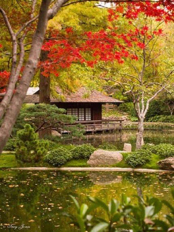 Japanese Gardens