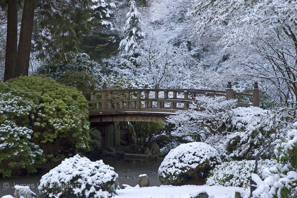 Fort Worth Japanese Garden