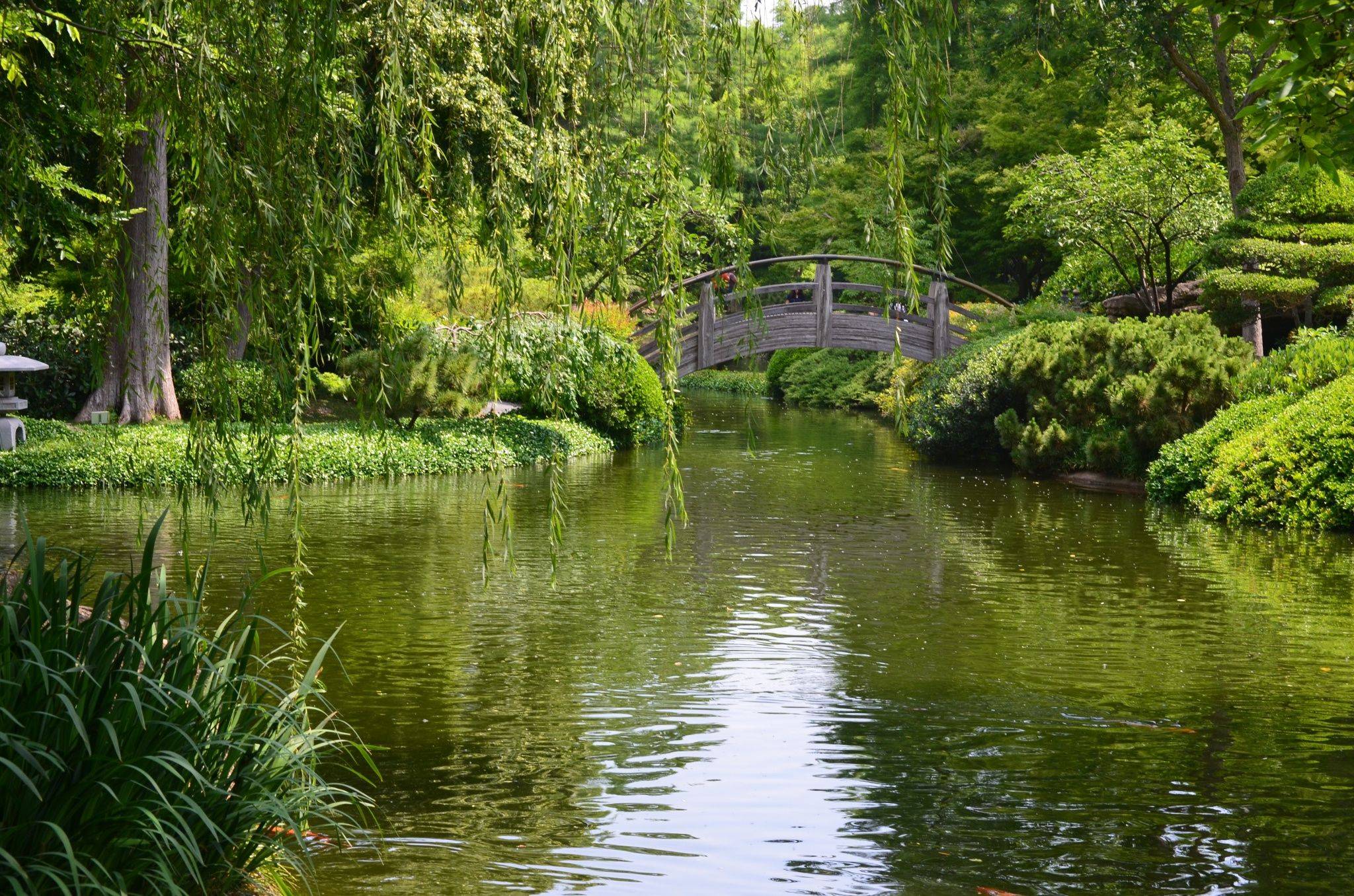 The Fort Worth Botanic Gardens