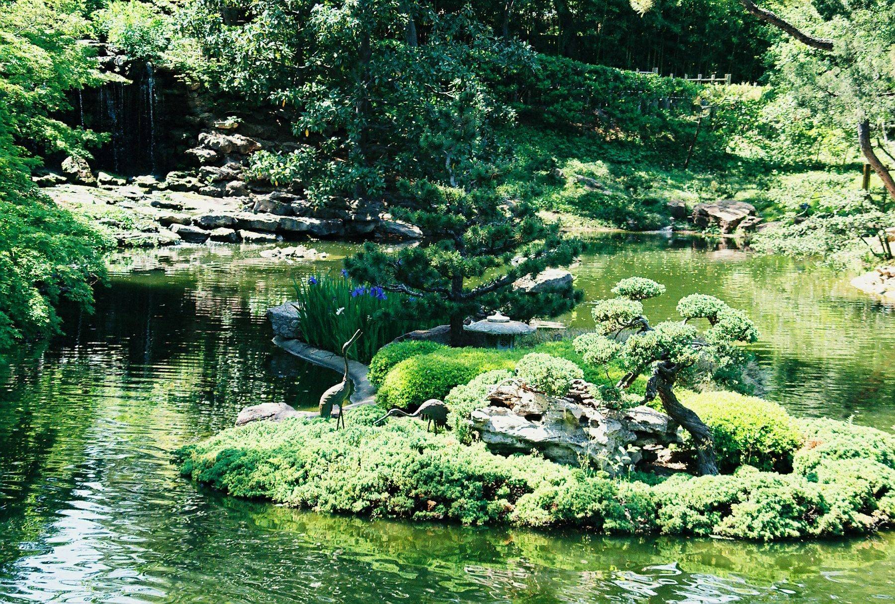 Serenity Japanese Garden