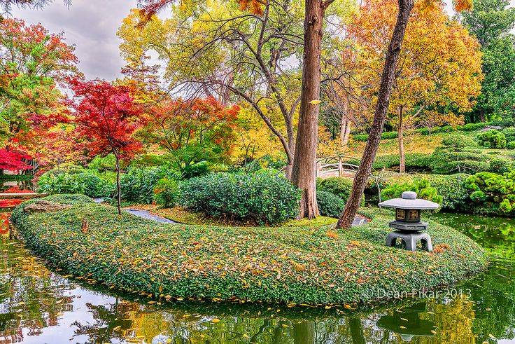 The Japanese Garden Picture