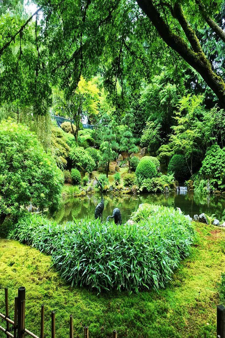 The Fort Worth Japanese Garden