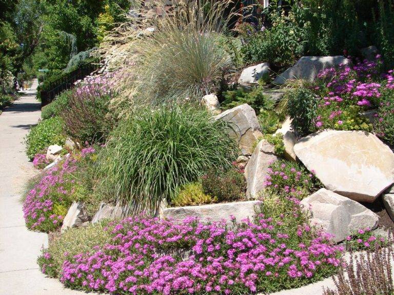 Border Garden Ideas
