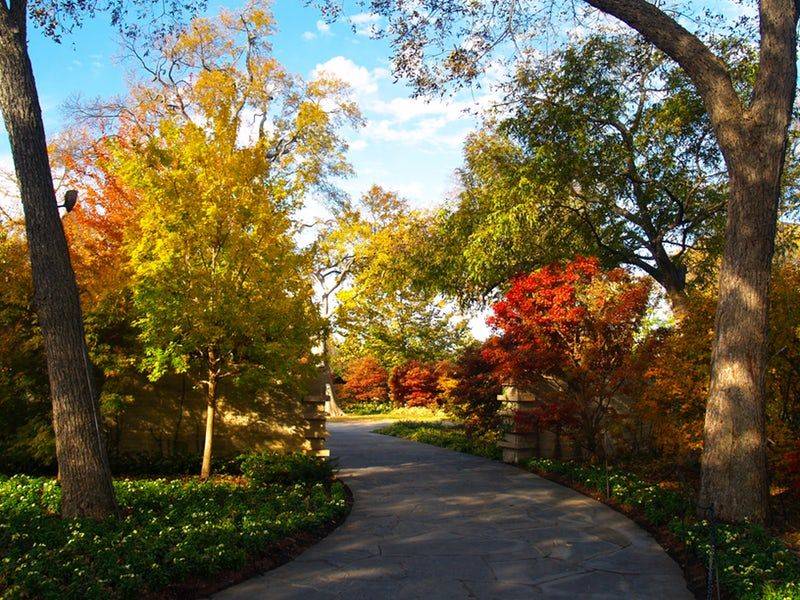 18 Dallas Arboretum and Botanical Garden Ideas Worth to Check SharonSable