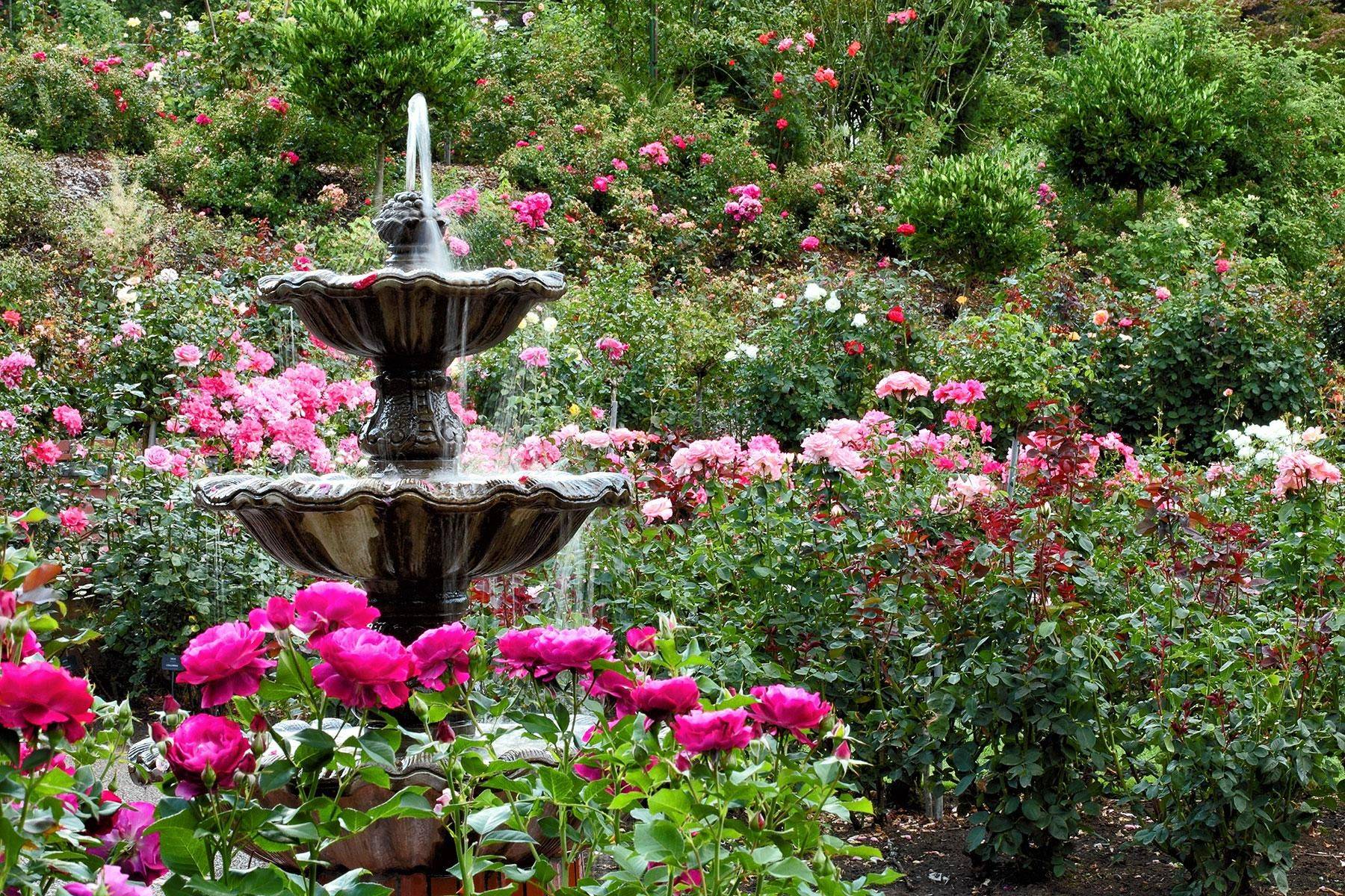 Margaret Elizabeth Jonsson Color Garden