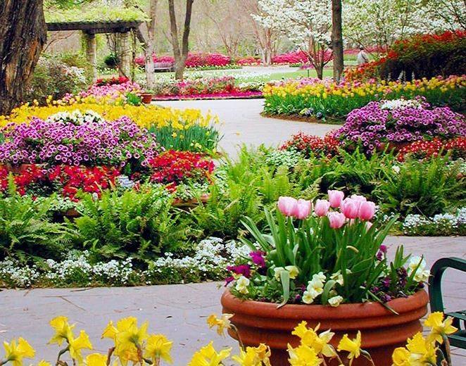 Mccasland Sunken Garden