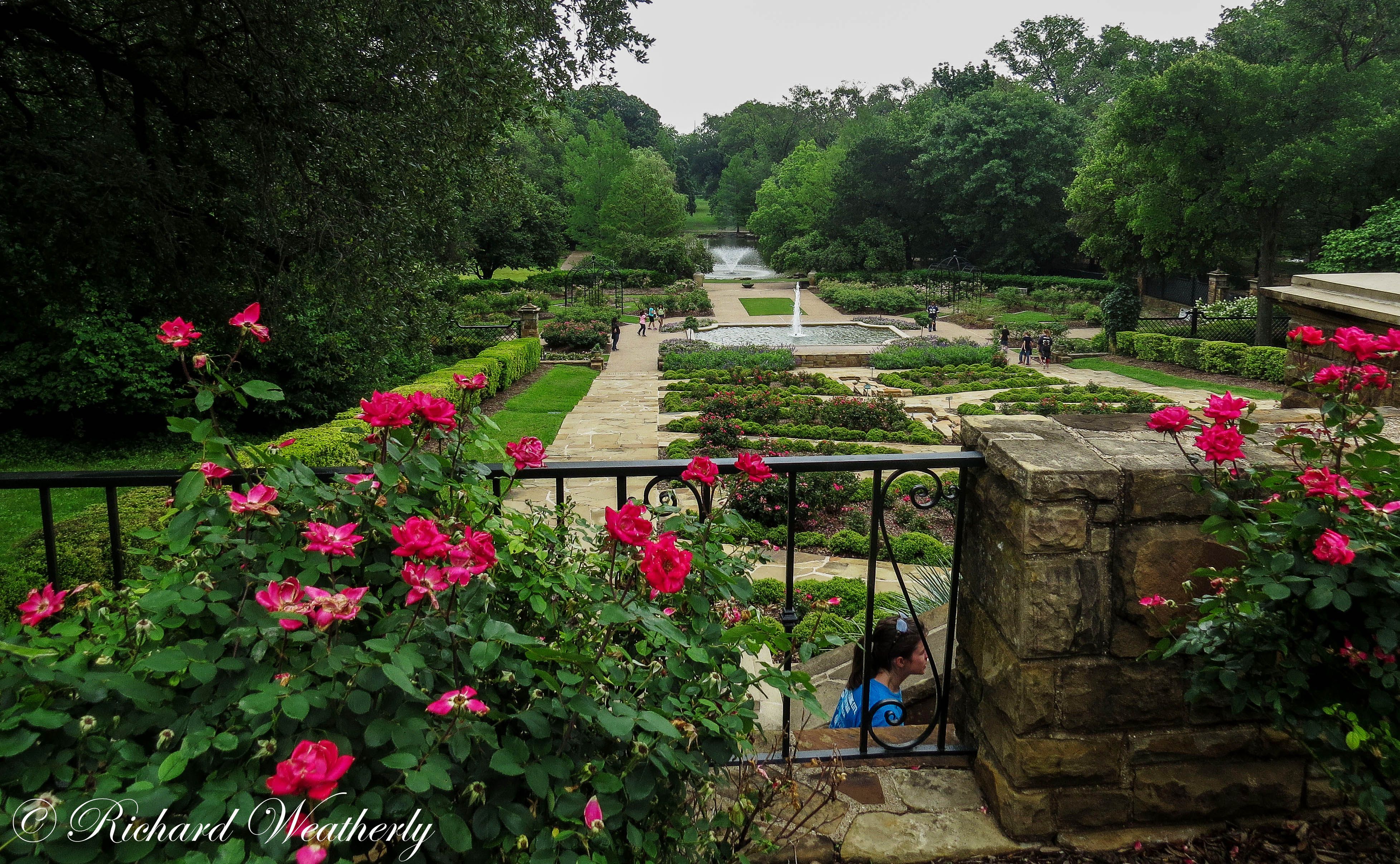 Botanic Gardens Fort Worth