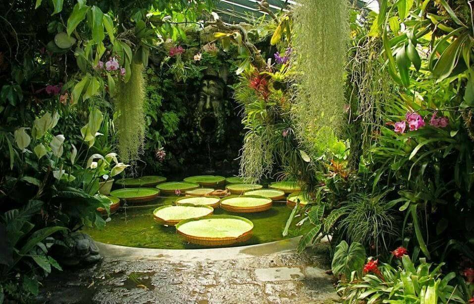 Dallas Outdoor Kitchen Designs Scapes Incorporated