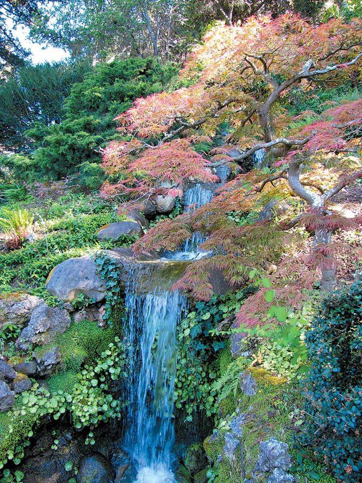 Japanesegardensportlandoregon