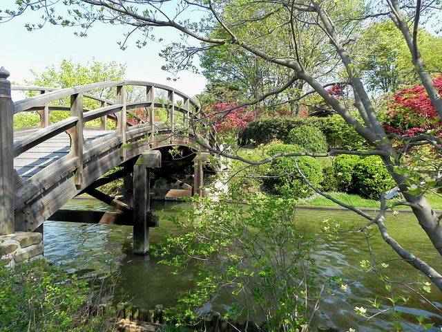 Peaceful Green Japanese Garden