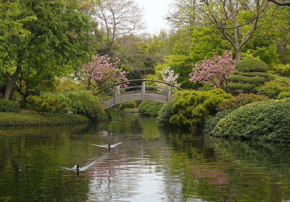 Japanese Garden