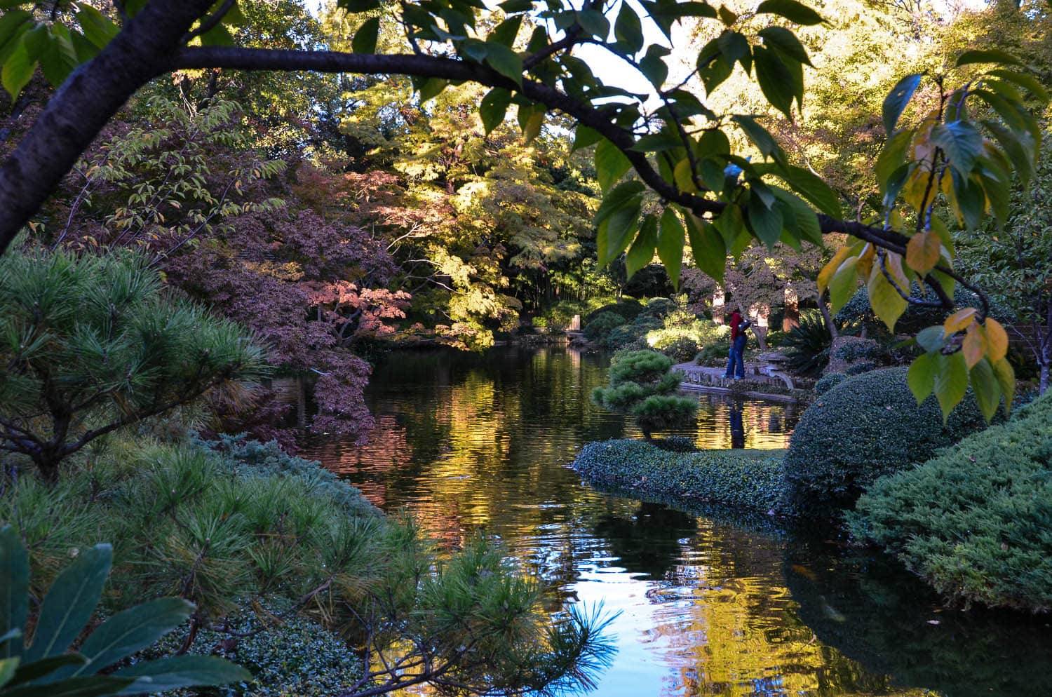Dallas Fort Worth Botanical Gardens Engagement Photos