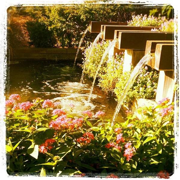 Jardin De Los Flores En Dallas Tx