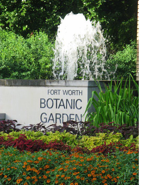 Spring Fort Worth Botanic Garden