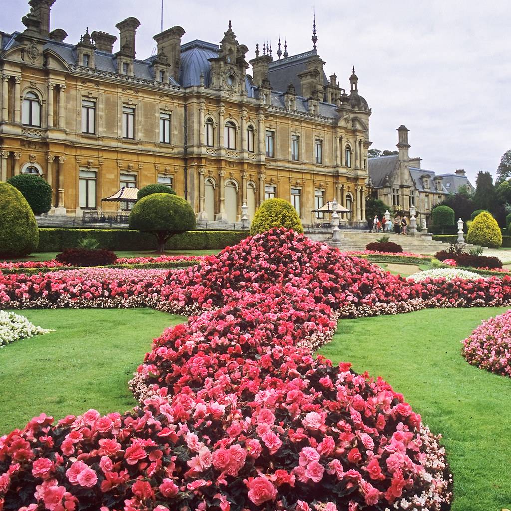 Waddesdon Manor Garden