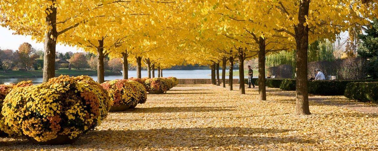 Chicago Botanic Garden Chicago Botanic Garden