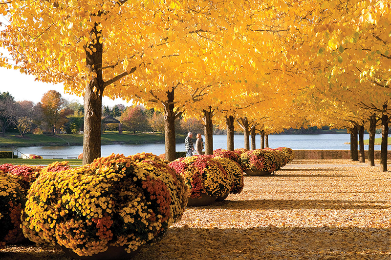 Stunning Botanical Gardens You Wont Believe Are Free Beautiful