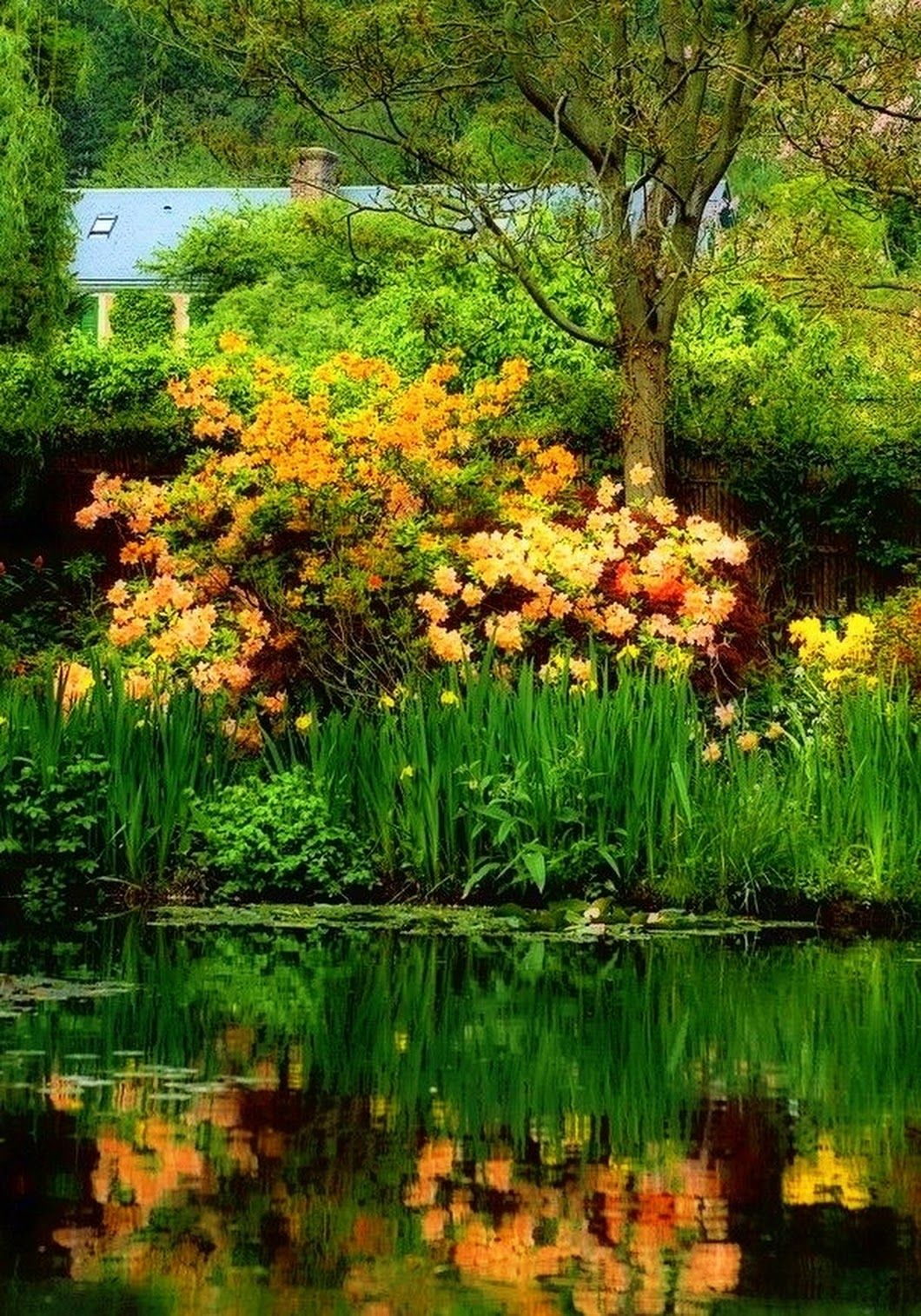 Claude Monet