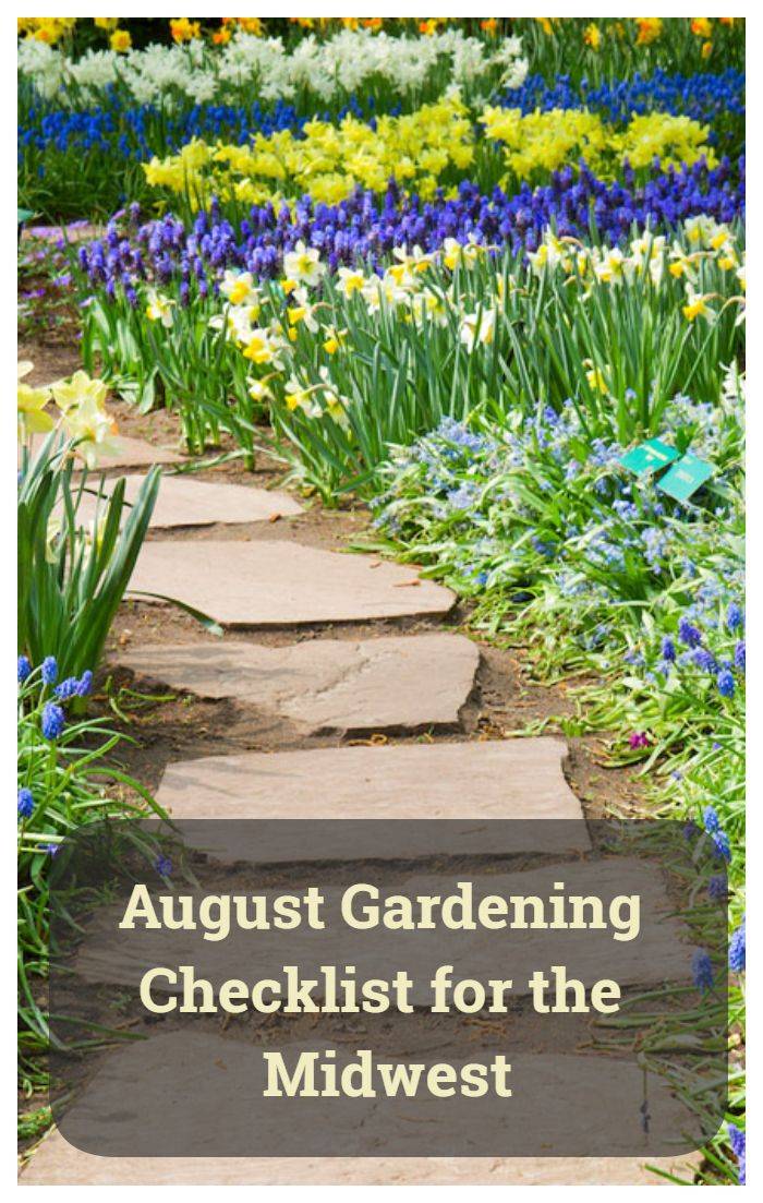 Botanical Gardens Wedding Cost