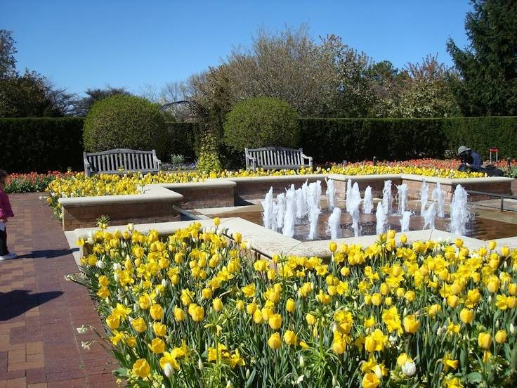 Regenstein Fruit Vegetable Garden