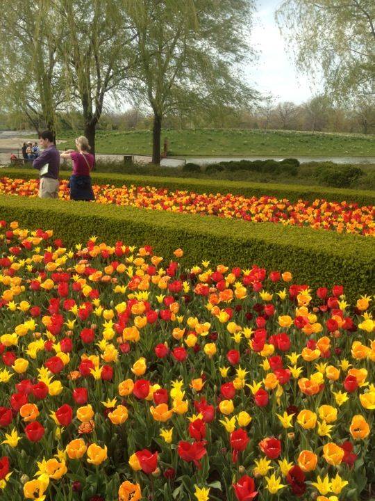 Urn And Vista Beautiful Gardens