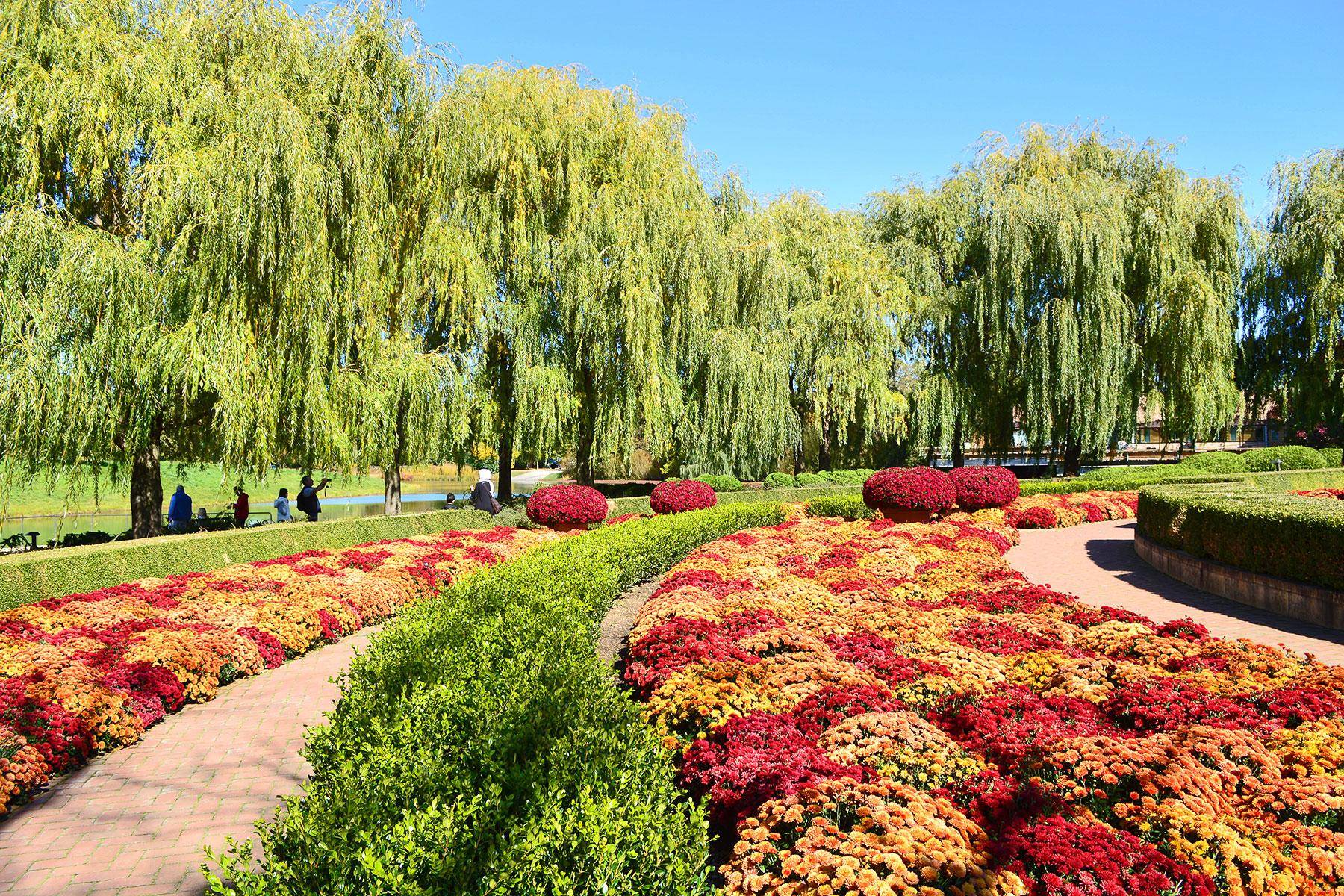 Chicago Botanic Garden Jobs Garden Layout