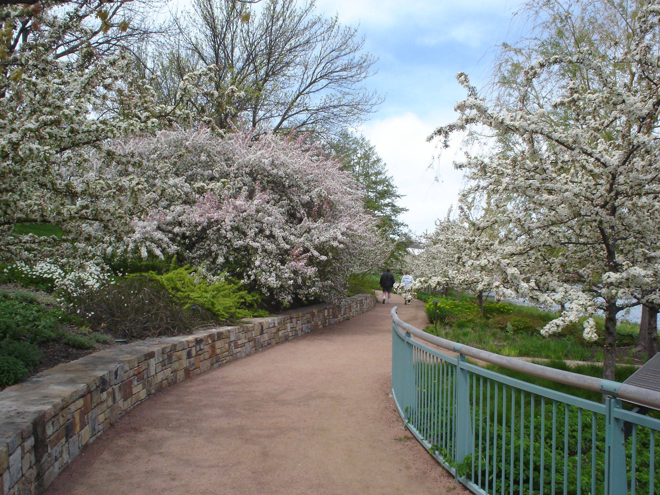Chicago Botanic Gardens Circle Garden Spring Chicago Botanic