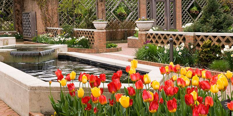 Ediblelandscaping Ideas