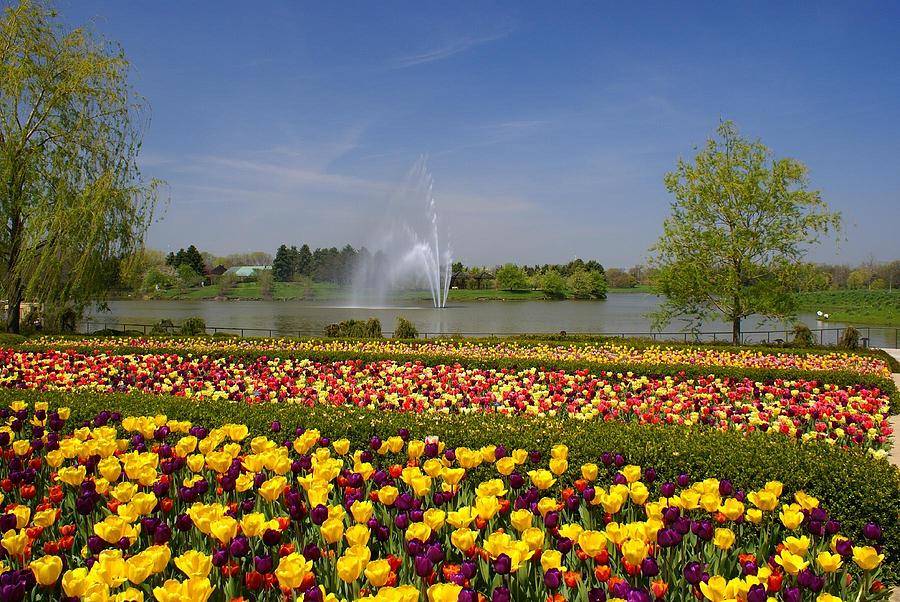 Cheekwood Botanic Garden