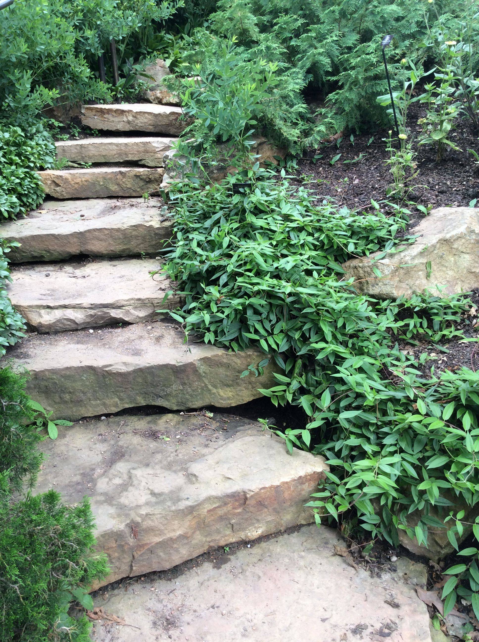 Chicago Botanic Gardens Summer Hours Chicago Botanic Garden